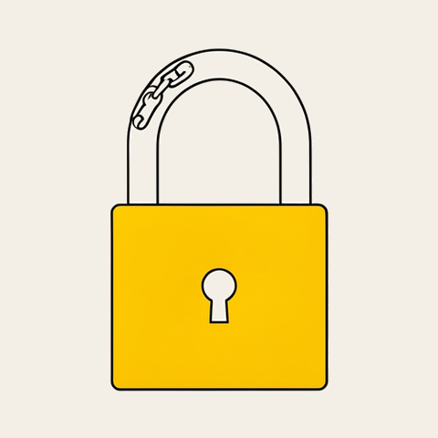 Padlock and chain
